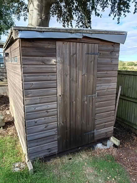 Photo of free 10' x 6' wooden pent shed (Burniston (YO13 0JG)) #1