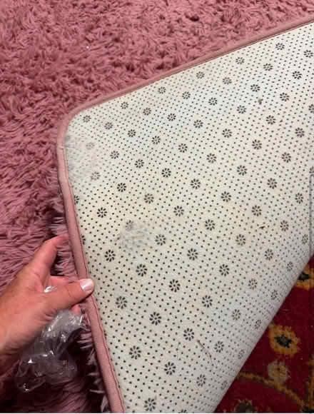 Photo of free Pink floor mat / rug (alameda) #2