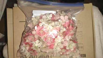 Photo of free Christmas Decorations 16 Flowers (Harlem) #4