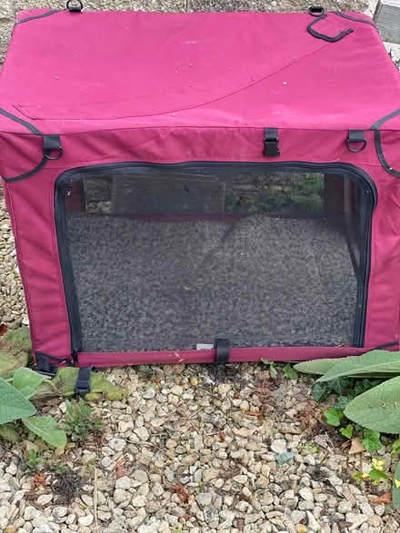 Photo of free A small pet carrier (Northmoor OX29) #1