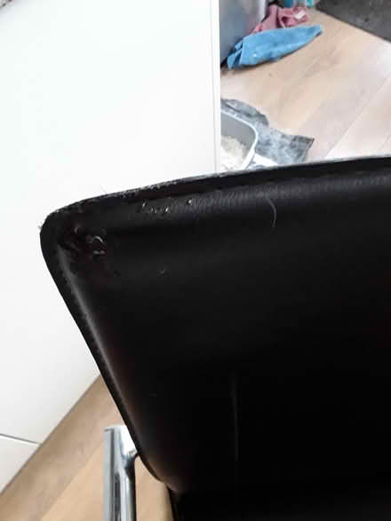 Photo of free Pair of chrome chairs (Collington Bexhiĺl TN39) #2