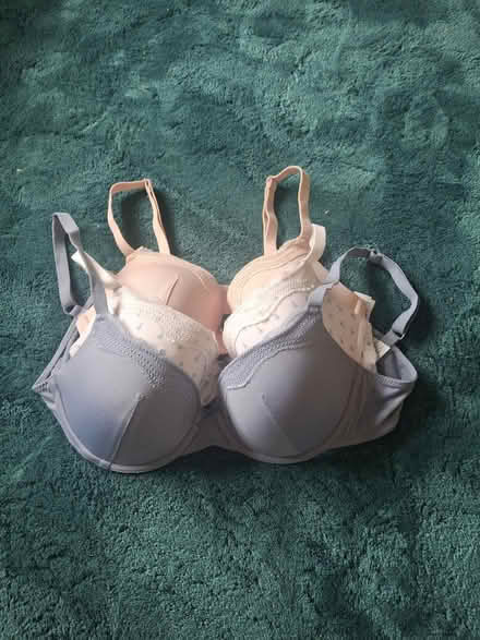 Photo of free 34b (small) (Liverpool) #1