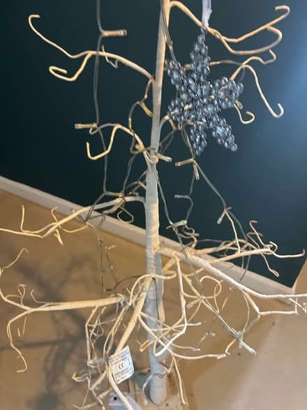Photo of free White Christmas branch (Foxton CB22) #2