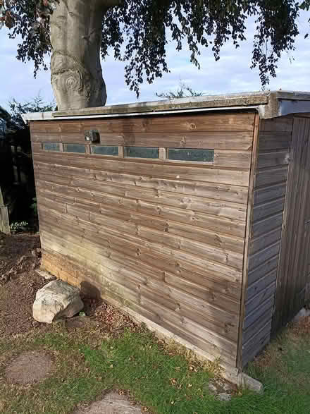 Photo of free 10' x 6' wooden pent shed (Burniston (YO13 0JG)) #2