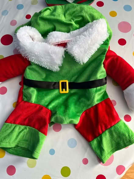 Photo of free Elf costume for small dog/puppy (Ballynafoy BT6) #2