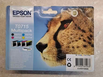 Photo of free Epson Cartridges (Stirling FK8) #1