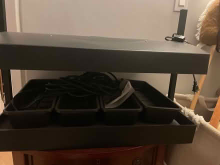 Photo of free Hydroponic grower (Centretown) #1