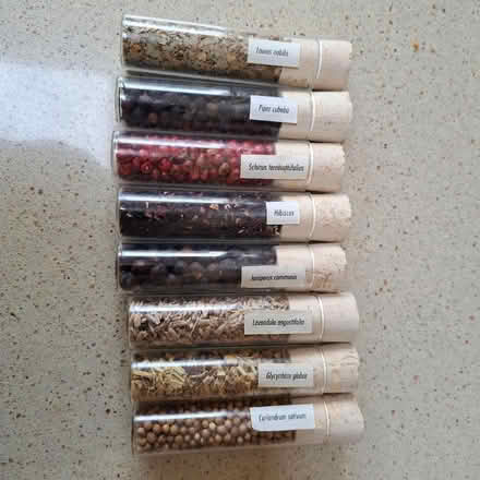 Photo of free Gin infusion kit (Bowerham LA1) #1