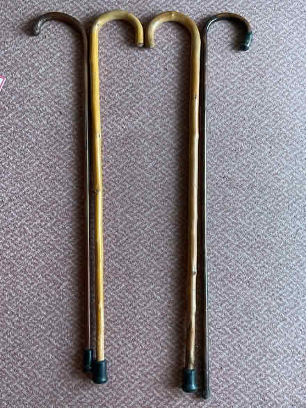 Photo of free 4 wood walking sticks (Bradenstoke SN15) #1