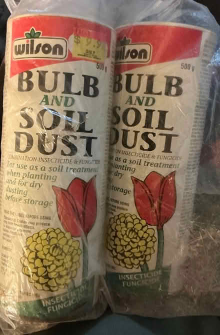 Photo of free Flower Bulbs (Central Mississauga) #1
