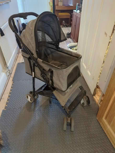 Photo of free Dog buggy, pushchair (Shirley, Southampton.) #2