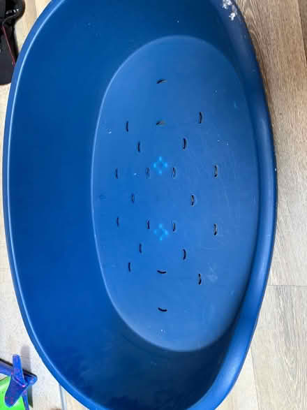 Photo of free Plastic dog basket (Ip33) #1