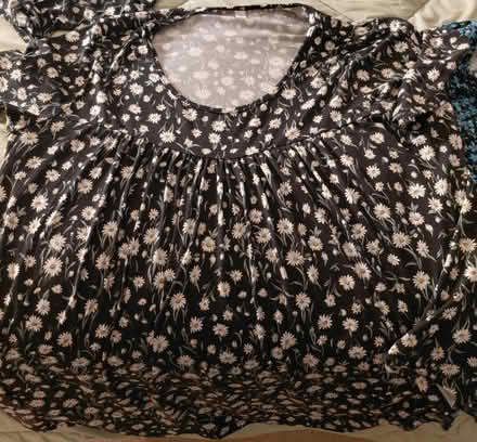 Photo of free Women's size 3X tops (Hollymead) #2