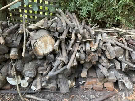 Photo of free FreeFirewood- You Haul (Deer Park) #3
