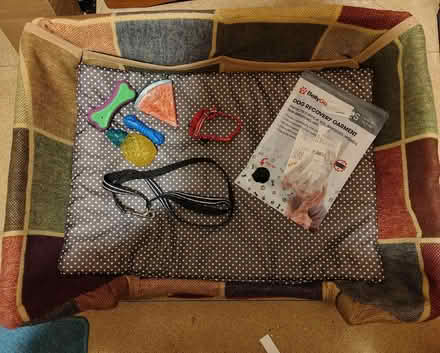 Photo of free Dog items (Tring HP23) #3