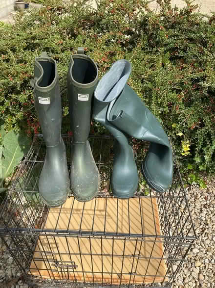 Photo of free Wellie boots (Northmoor OX29) #1