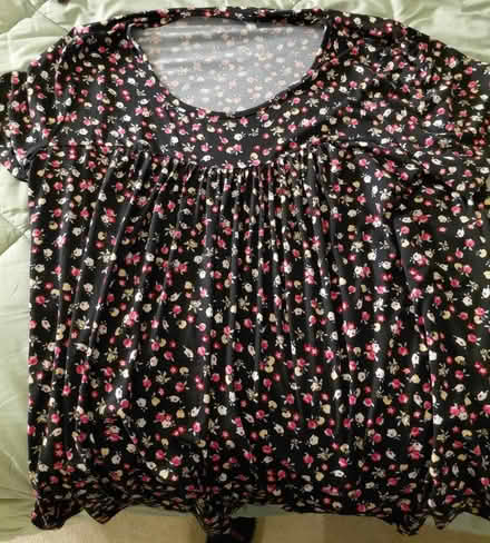 Photo of free Women's size 3X tops (Hollymead) #4