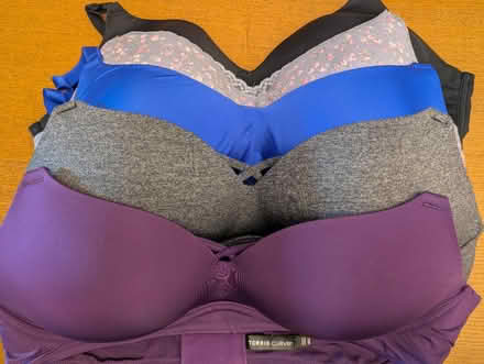 Photo of free Bras from Torrid, size 42C (Wash Hts/Inwood) #1