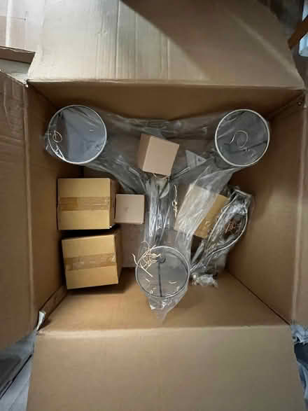 Photo of free Chandelier type lighting (Eye PE6) #2
