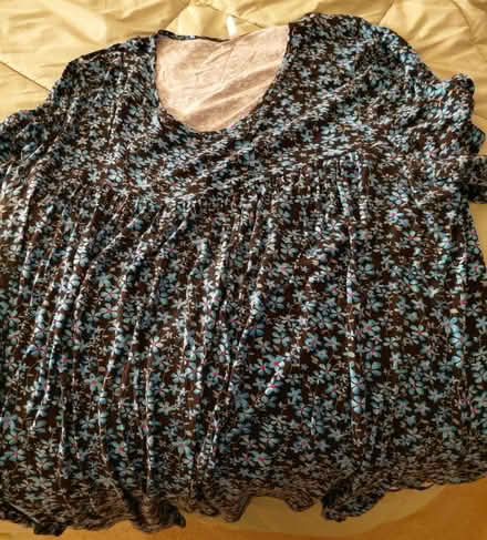 Photo of free Women's size 3X tops (Hollymead) #3