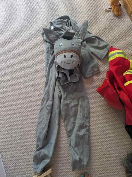 Photo of free Donkey costume (Thorpe bay ss1) #1