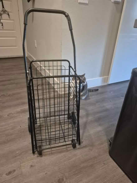 Photo of free Shopping cart (76102) #1