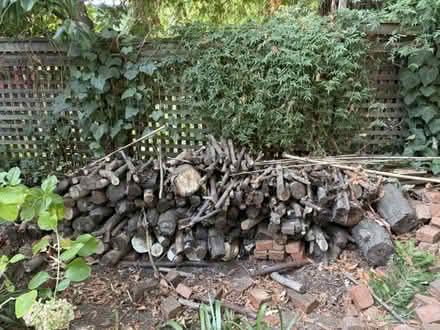 Photo of free FreeFirewood- You Haul (Deer Park) #2