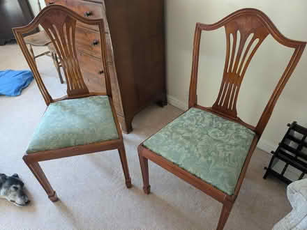 Photo of free Dining chairs (Moseley B13) #1