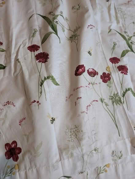 Photo of free Pair of pencil pleat curtains (Ninfield TN33) #2