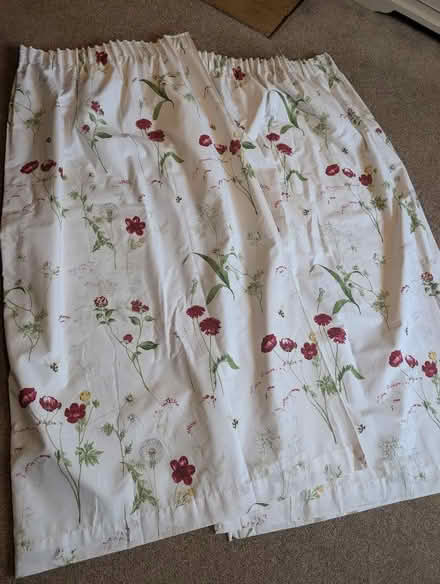 Photo of free Pair of pencil pleat curtains (Ninfield TN33) #1