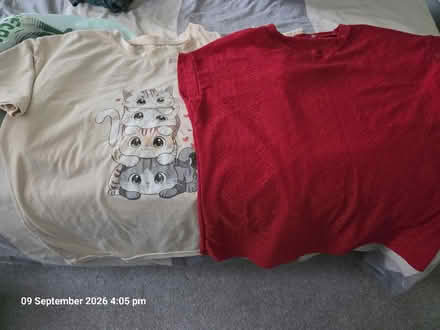 Photo of free 2 tops (Southall, UB2) #1