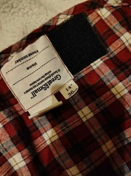 Photo of free Dog items (Tring HP23) #2