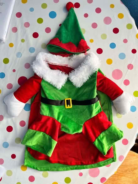 Photo of free Elf costume for small dog/puppy (Ballynafoy BT6) #1