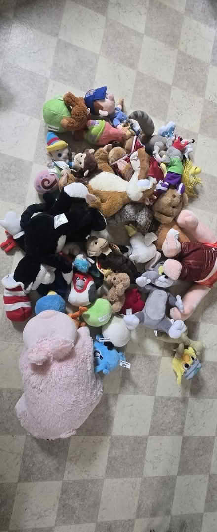 Photo of free Stuffed toys (Randolph near high school) #1