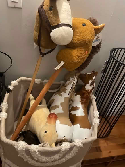 Photo of free Hobby and toy horses (Centretown) #1
