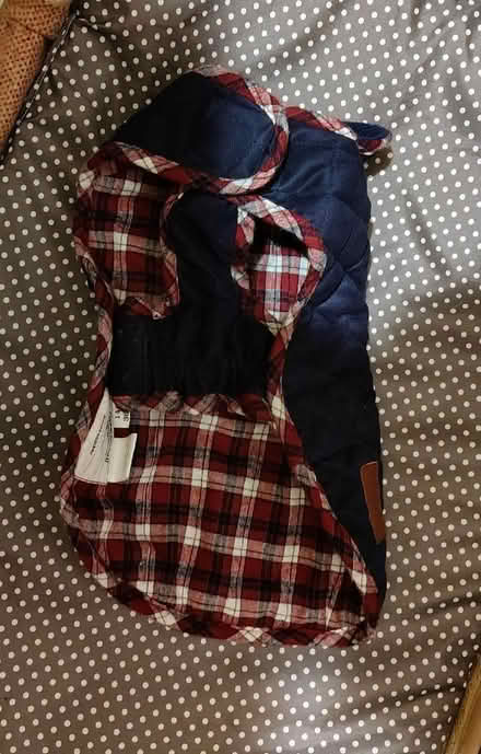 Photo of free Dog items (Tring HP23) #1