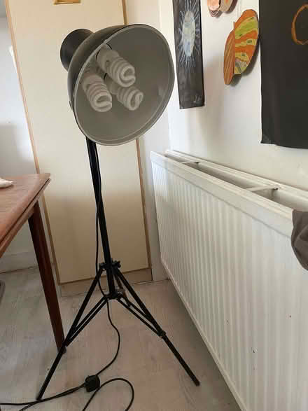 Photo of free 2 x BIP Black studio lights on stands (North Finchley N12) #2