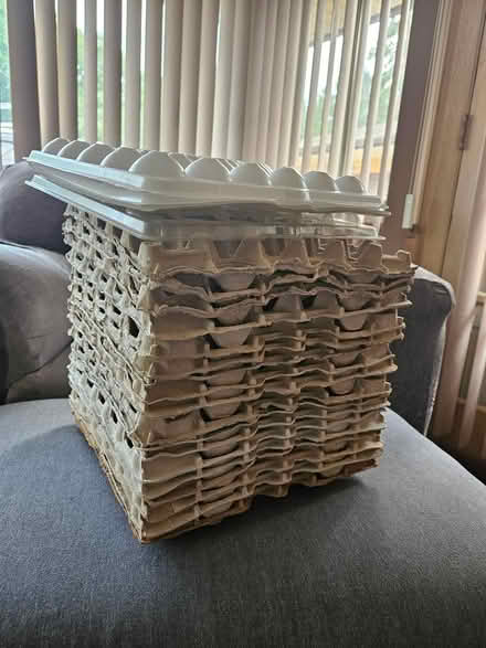 Photo of free Egg cartons (West) #1