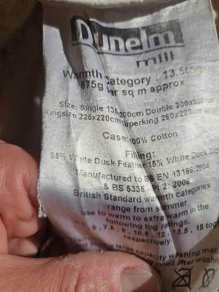 Photo of free Duck feather / down double duvet (Saint Thomas Ward EX2) #2