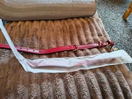Photo of free 2 brand new dog collars (Herdings S14) #1