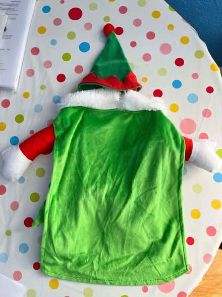 Photo of free Elf costume for small dog/puppy (Ballynafoy BT6) #3