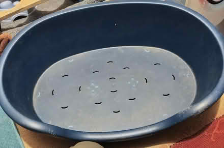 Photo of free Blue dog bed (Tring HP23) #1