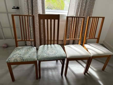 Photo of free 4 dining chairs (Tredegar NP22) #1