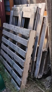 Photo of free Clean Wood Pallets (Seatac) #2