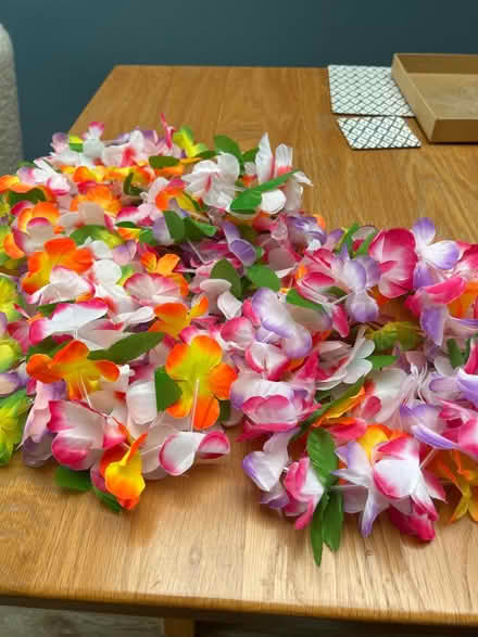 Photo of free Hawaiian dressing up (Pagham PO21) #1