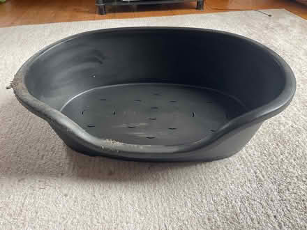 Photo of free Dog bed (Kildare) #1