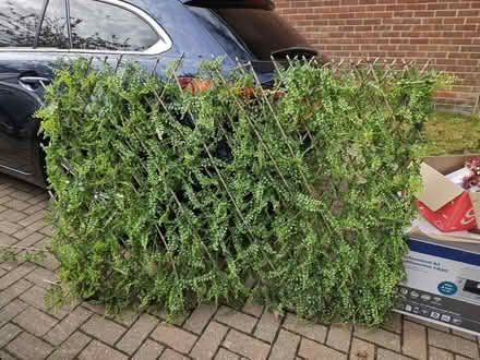 Photo of free Expanding garden screen (Sunniside NE16) #2