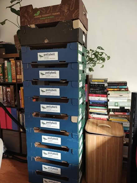 Photo of free Boxes (M20 Withington) #1