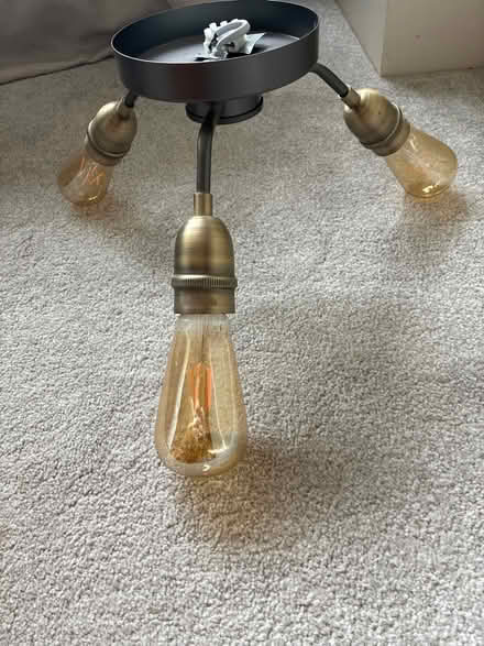 Photo of free Edison Style Light Fittings (Macclesfield) #2