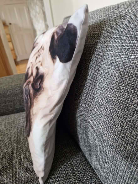 Photo of free Dog cushion (Hillmorton Paddox CV22) #2